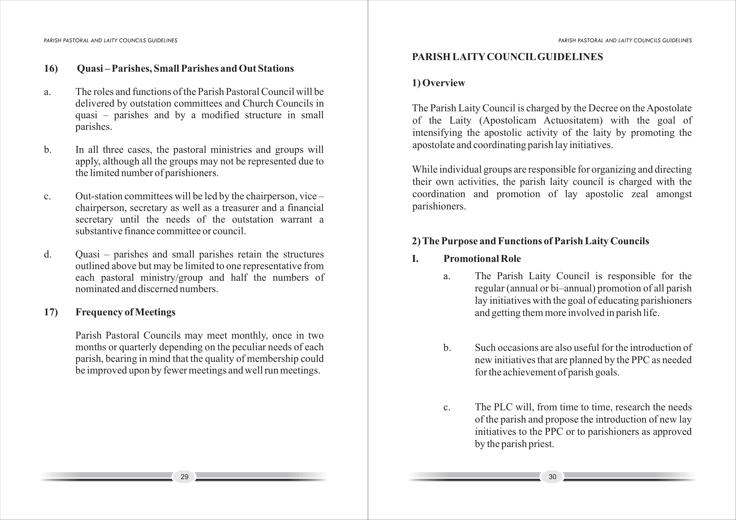 2. 2023 Parish Pastoral Laity Guidelines-16
